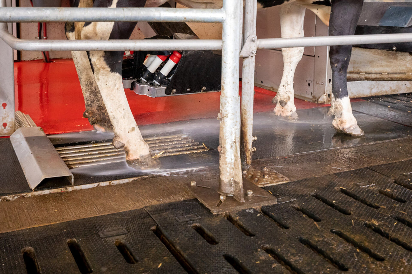 Lely Meteor 2.0 Care Spray 63 kg