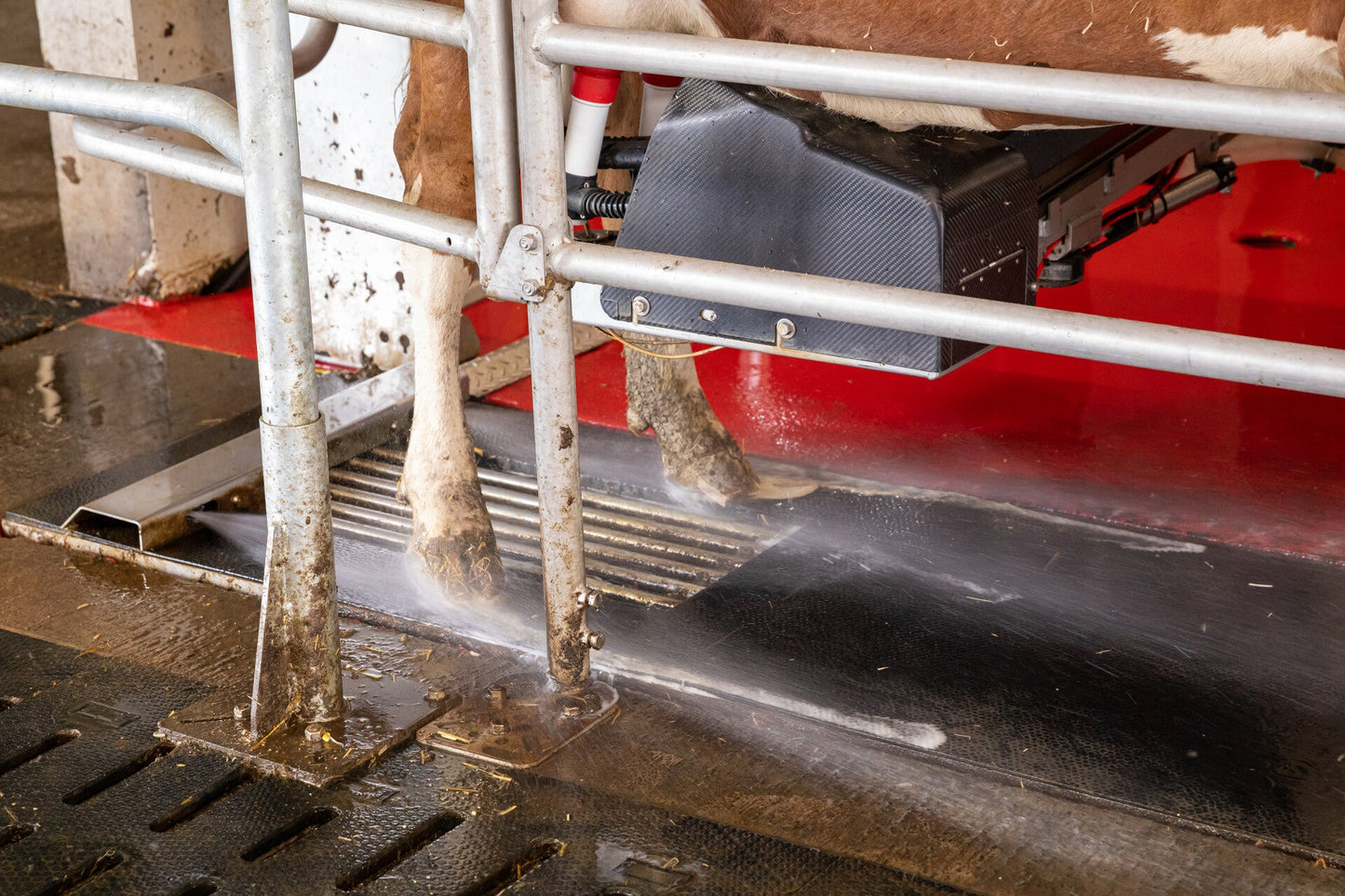 Lely Meteor 2.0 Care Spray 63 kg