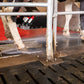 Lely Meteor Wash Spray 10kg can
